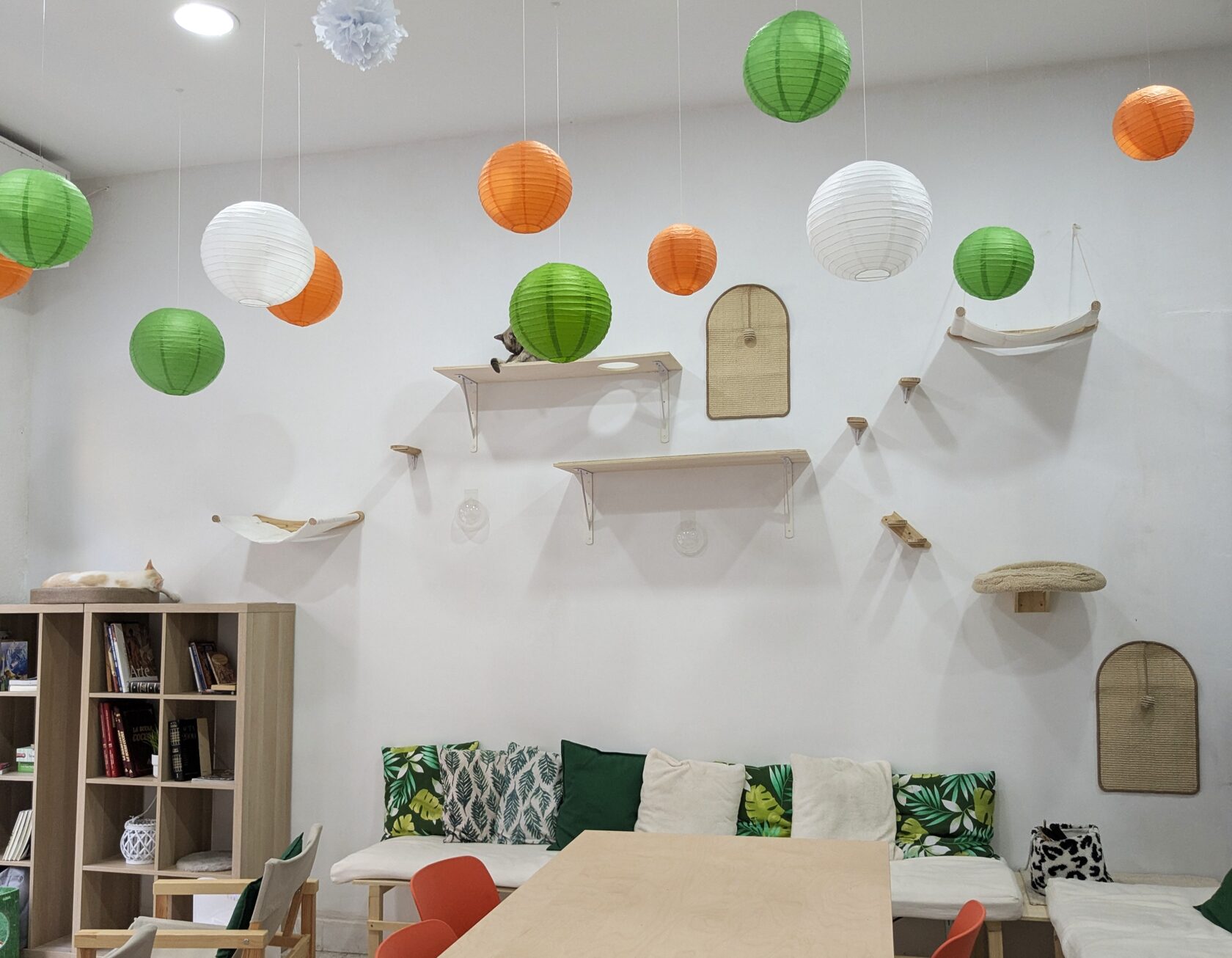 Interior de La Gatería Miaumigo